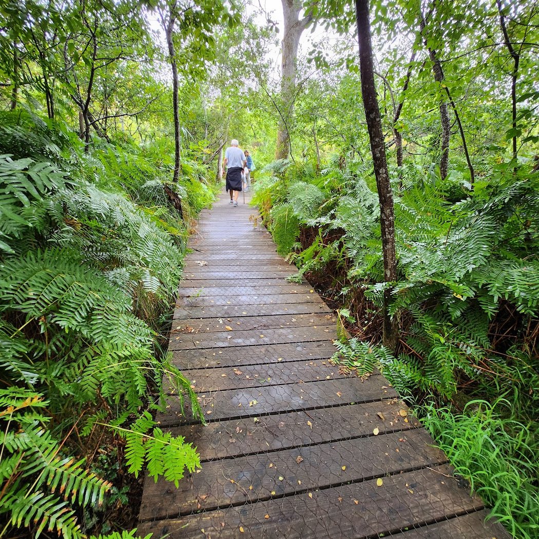 Sentier de la Berle 2
